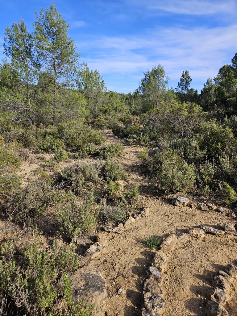 Waldweg durch mediterrane Landschaft mit Steinspirale im Vordergrund – Symbol für Zentrierung, Naturverbindung und innere Klarheit
