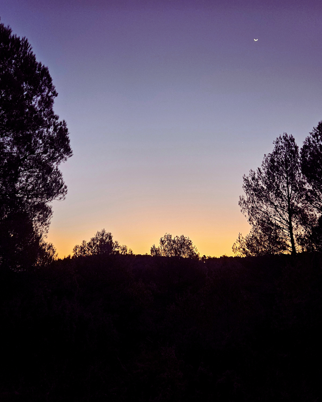Verbindung statt Aufmerksamkeit