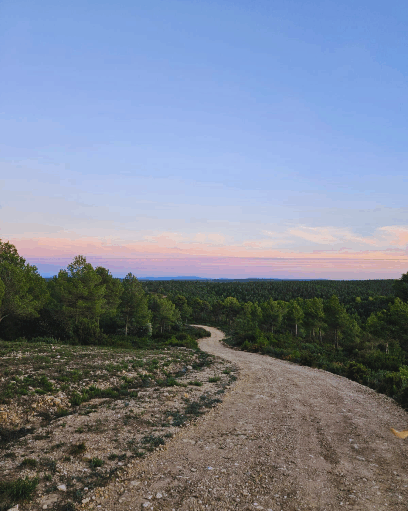 Staubiger Feldweg führt durch Waldgebiet bei farbenfrohem Abendhimmel.