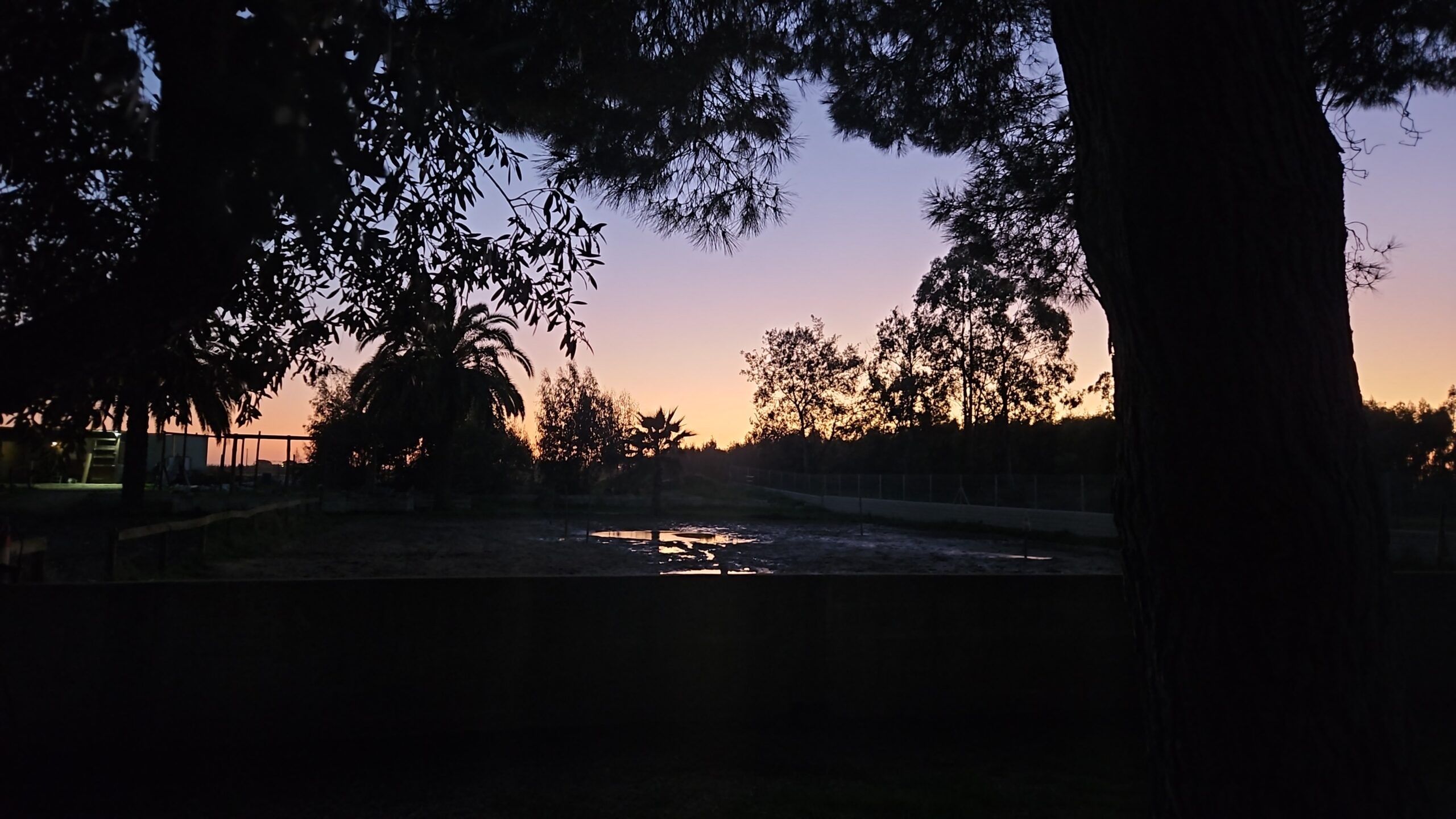 Bist du wirklich präsent – oder nur körperlich anwesend?