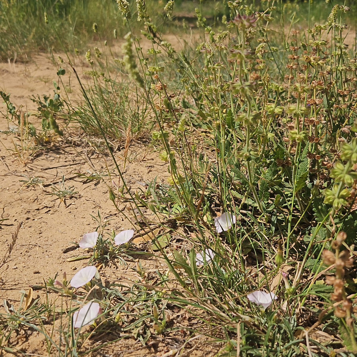 Stille als aktivste Zeit: Was in ruhigen Phasen wirklich passiert