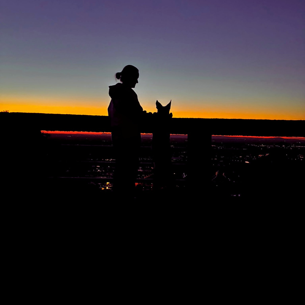Silhouette eines Menschen mit Hund vor einem farbenfrohen Sonnenaufgang